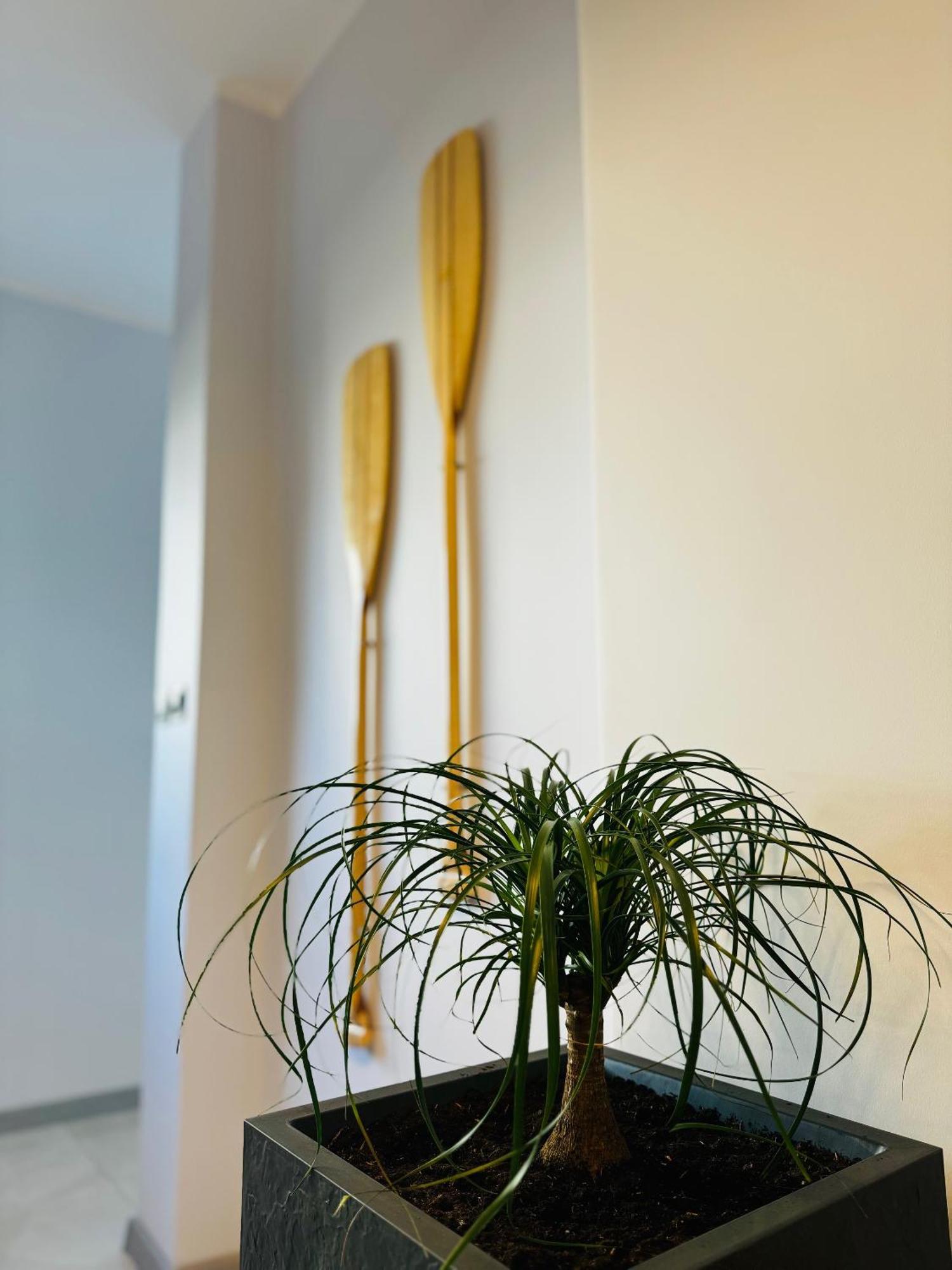 Apartamenty Flauta ยาสต์เชอเบีย กูรา ภายนอก รูปภาพ